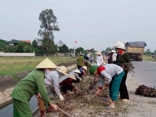 Một số hình ảnh chỉnh trang cảnh quan tại xã Hoằng Kim (7).jpg